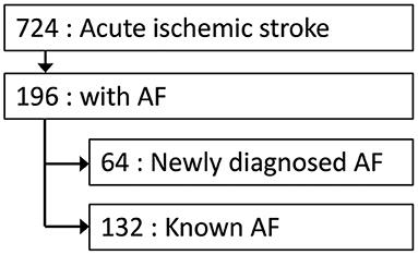 Stroke Severity and Outcomes in Patients With Newly Diagnosed Atrial Fibrillation